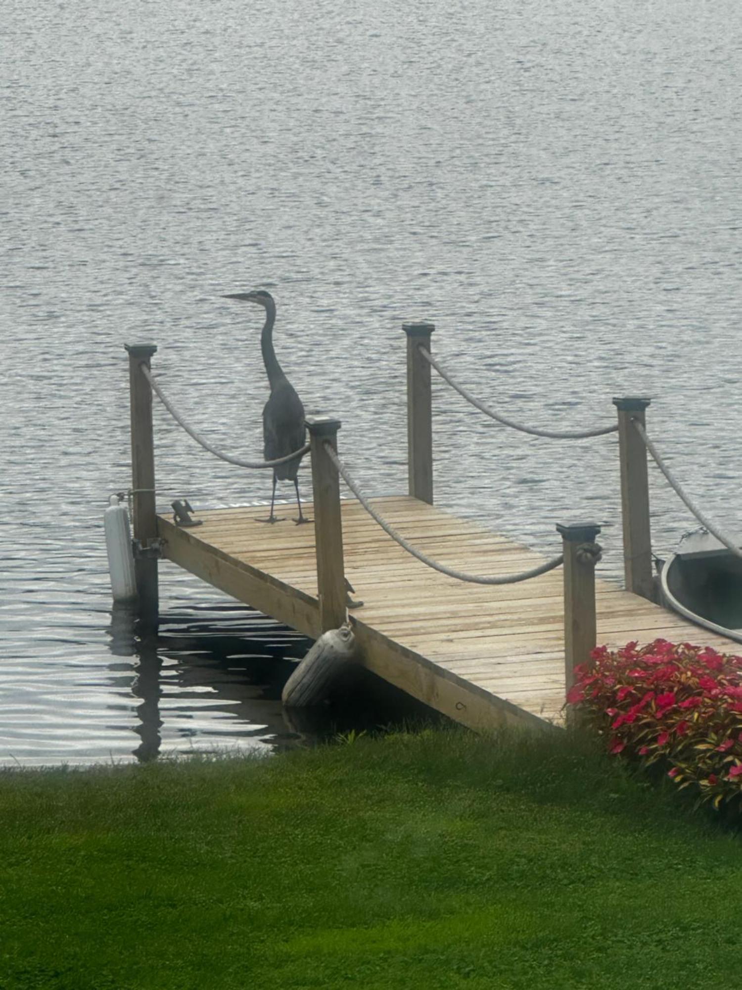Welcome To The Lake Northwood Экстерьер фото